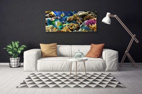 Obraz canvas na ścianę Kolorowe Życie Rafy Koralowej