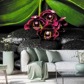 Fototapeta - Orchidea i kamienie (196x136 cm)