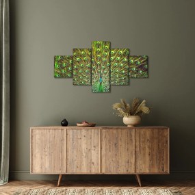Obraz - Paw (125x70 cm)