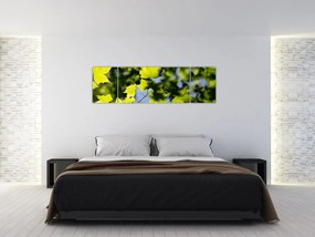 Obraz - liście klonu (170x50 cm)
