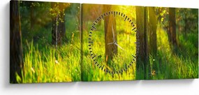 Obraz - Wiosenne przebudzenie lasu (z zegarem) (90x30 cm)