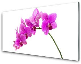 Obraz Szklany Storczyk Kwiat Orchidea