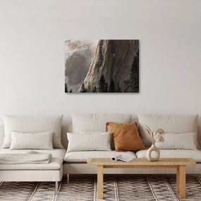 Zdjęcie z Parku Narodowego Yosemite Valley, USA (70x50 cm)