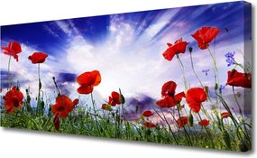 Fotoobraz na płótnie Czerwone Maki w Polu