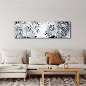 Obraz - Rysowane lwie głowy (170x50 cm)