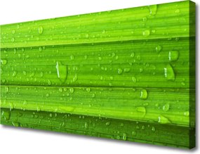 Obraz canvas Soczysta Zieleń Polany