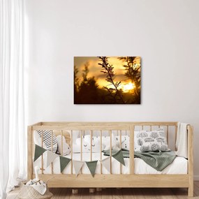 Obraz - słońce zachodzące za drzewami (70x50 cm)