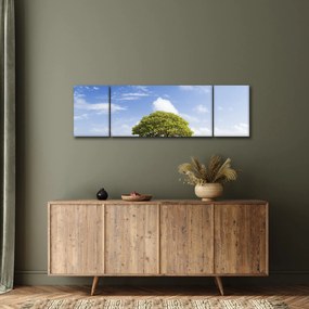 Obraz plaży z drzewem (170x50 cm)