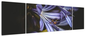 Obraz - Lilia (170x50 cm)