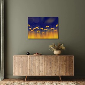 Obraz - Dmuchawce (70x50 cm)