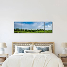 Obraz łąki (170x50 cm)