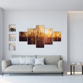 Obraz pola o zachodzie słońca (125x70 cm)