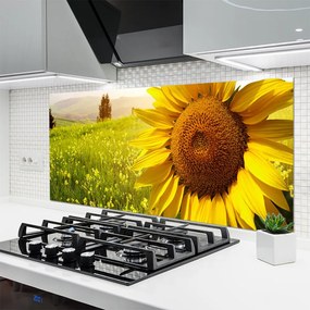 Dekor Szklany do Kuchni Złoty Słonecznik W Słońcu