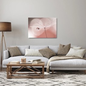 Obraz na szkle - Kropla rosy (70x50 cm)