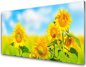 Panel Szklany Złoty Słonecznik w Detalu