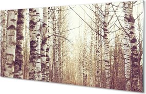 Szklany Panel Korony Drzew