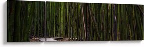 Obraz - Wśród bambusów (170x50 cm)