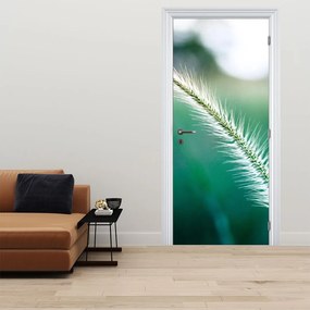 Fototapeta na drzwi - Źdźbło trawy (95x205cm)