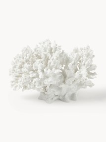 Dekoracja Coral