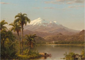 Obraz - Frederic Edwin Church, Tamaca Palms, reprodukcje (70x50 cm)