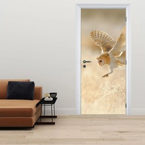 Fototapeta na drzwi - Płomykówka (95x205cm)