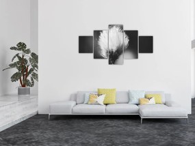 Obraz - Czarno-biała trawa bawełniana (125x70 cm)