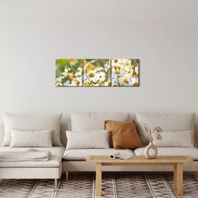 Obraz - Stokrotki (z zegarem) (90x30 cm)