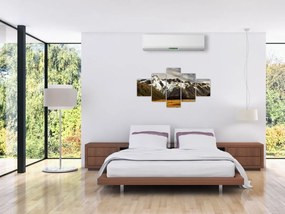 Obraz góry Sefton, Nowa Zelandia (125x70 cm)