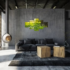 Obraz polany i kwiatów (125x70 cm)