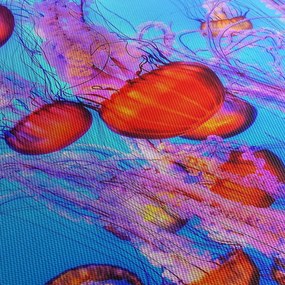 Obraz meduz w morzu (70x50 cm)