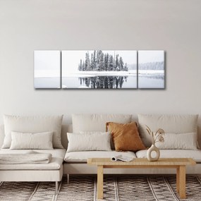 Obraz - Było biało (170x50 cm)