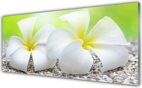 Panel Kuchenny Romantyczna Flora Ogrodowa