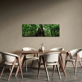 Obraz - Korzenie drzewa (z zegarem) (90x30 cm)