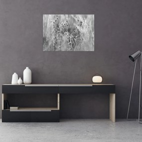 Obraz - Dzika łąka (70x50 cm)