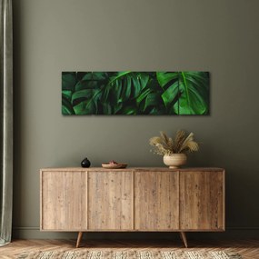 Obraz liści Monstery (170x50 cm)