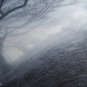 Obraz- Droga we mgle (170x50 cm)