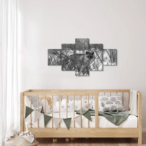 Obraz - Lis w zimie (125x70 cm)