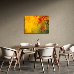 Obraz - Jesienne liście (70x50 cm)