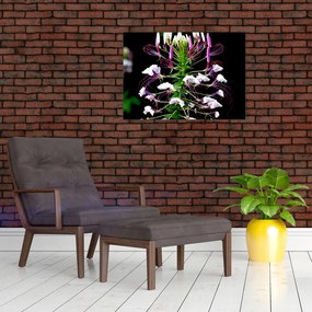 Obraz kwiatu (70x50 cm)
