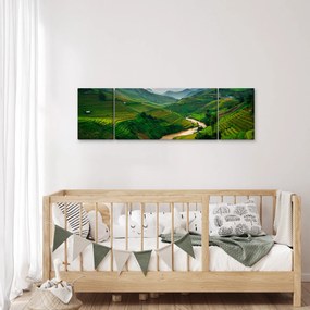 Obraz - Tarasy ryżowe II. (170x50 cm)