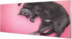 Panel nad Blat Kuchenny Kot w Pozycji Leżącej