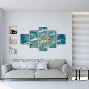 Obraz - Motyl na stokrotce (125x70 cm)