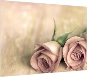 Obraz na szkle - Delikatne róże (70x50 cm)