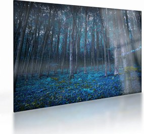 Obraz na szkle - Magiczny las (70x50 cm)