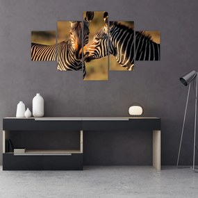 Obraz - Dwie zebry (125x70 cm)