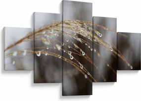 Obraz kropli na roślinie (125x70 cm)