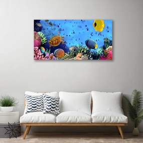 Obraz Canvas Rafa Koralowa Przyroda