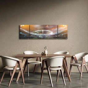 Obraz - Stadion (170x50 cm)