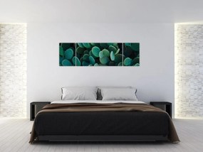Obraz - Opuncja (170x50 cm)