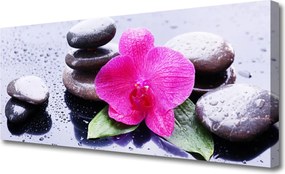 Obraz canvas Malarska Interpretacja Orchidei